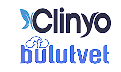 Bulutvet & Clinyo CEO